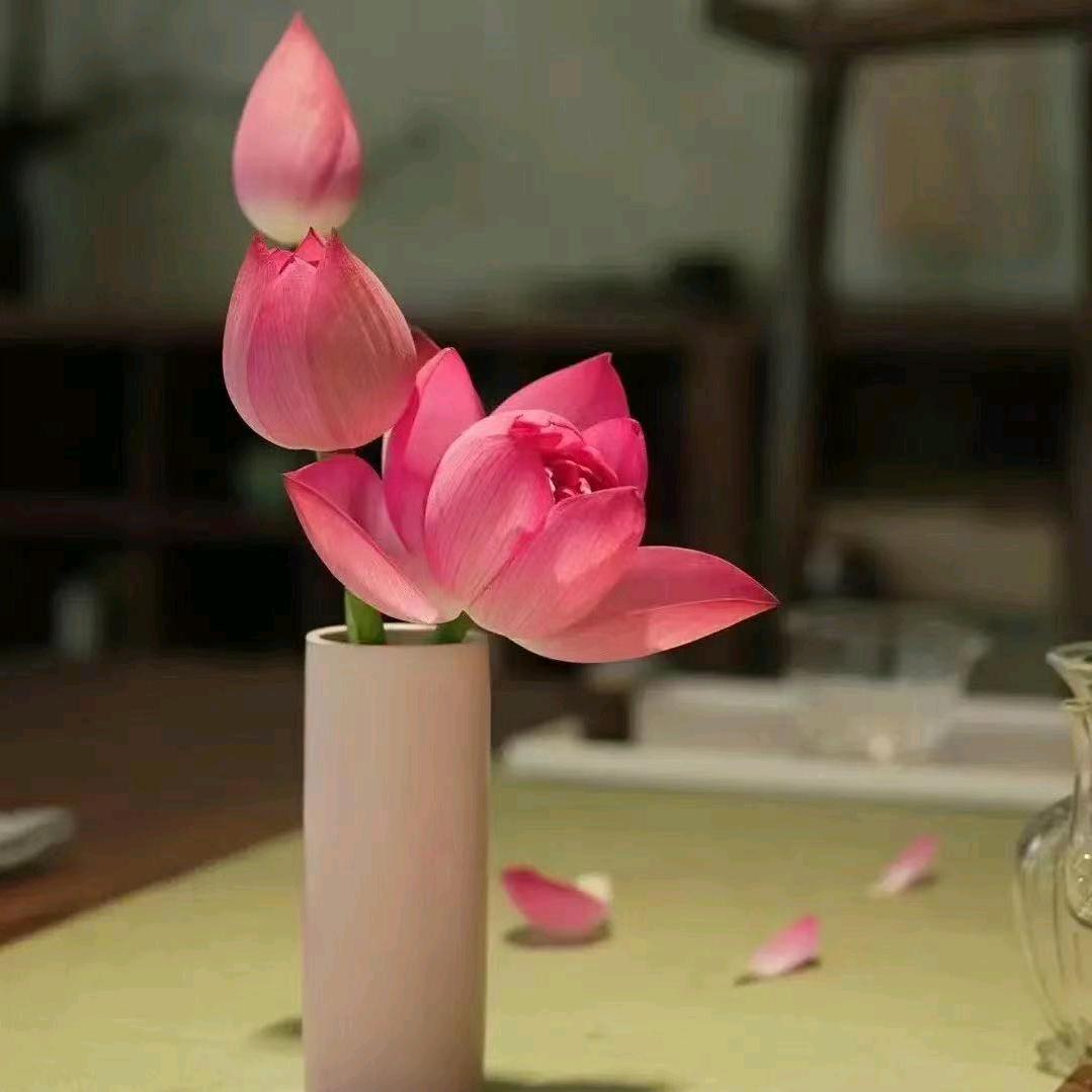 泽满客稻草虾火锅（康复前街店）