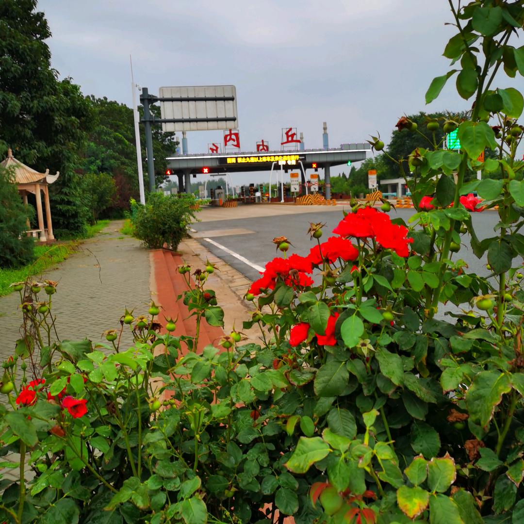 专注做冰糖葫芦