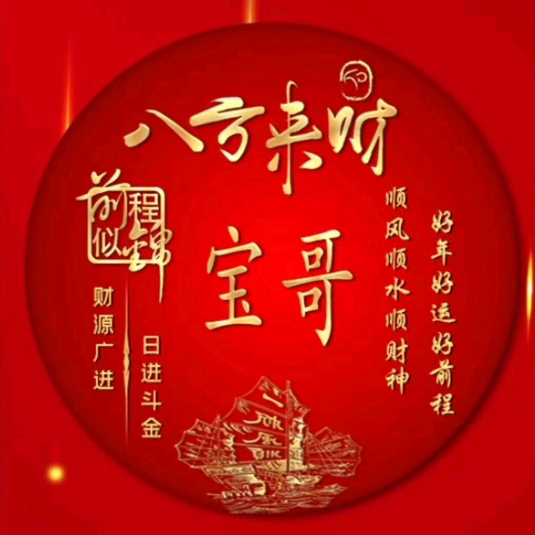 宝哥挖机