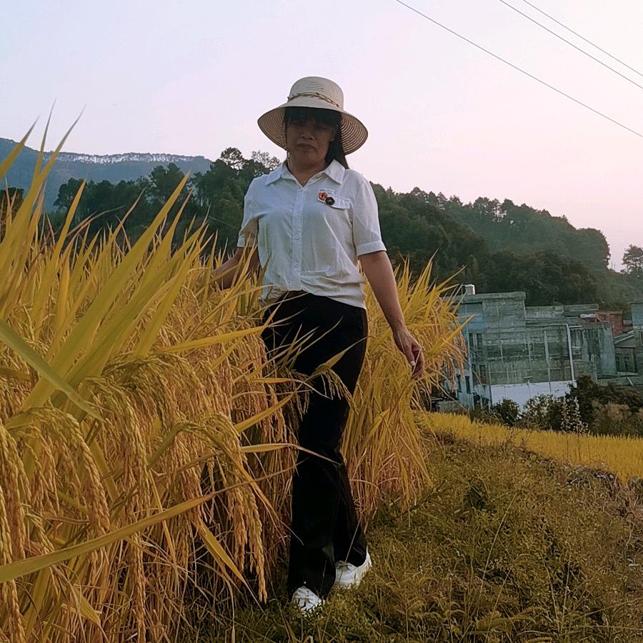 浅笑安然