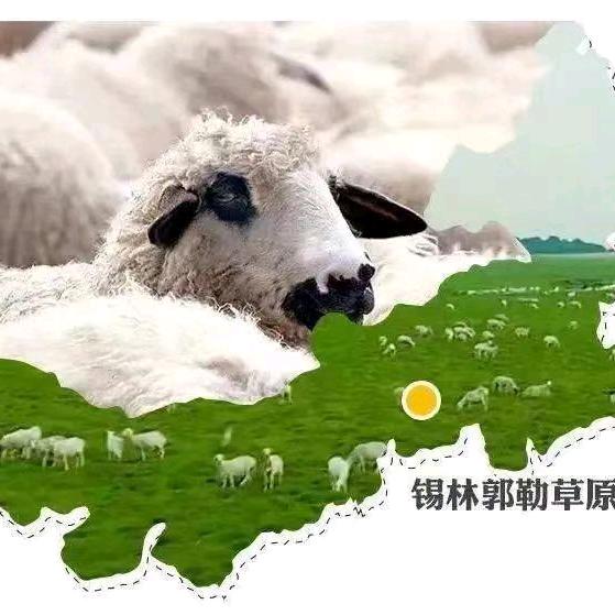 🥩九牧当鲜🌱爱上草原🐑🐑🐑