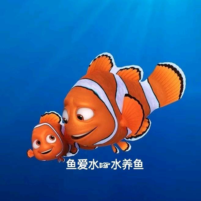 嗨宠～水族工作室