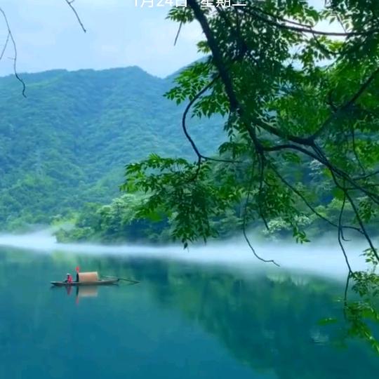 宗敏的简单生活