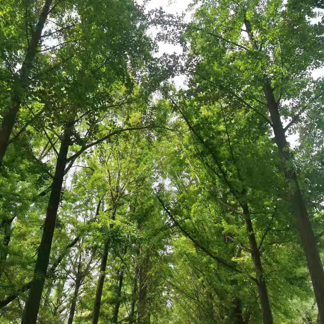 静心，放下执念