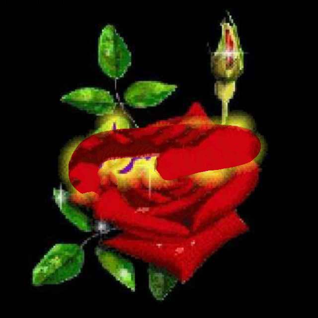 🌹欢乐脸😂