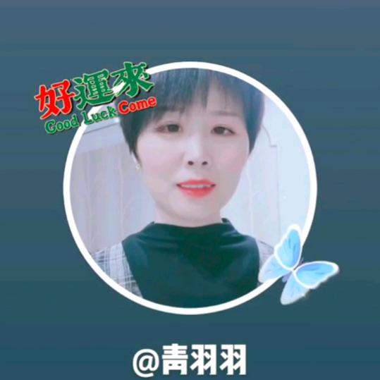 青羽羽好物