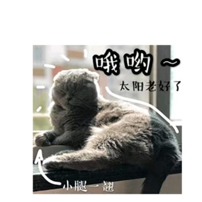 苟得猫柠