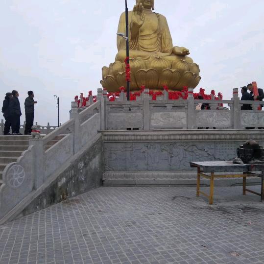 柠檬草5921