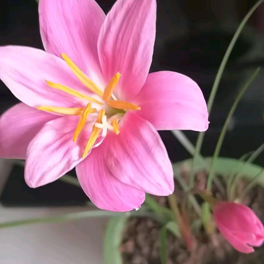 范泉珍