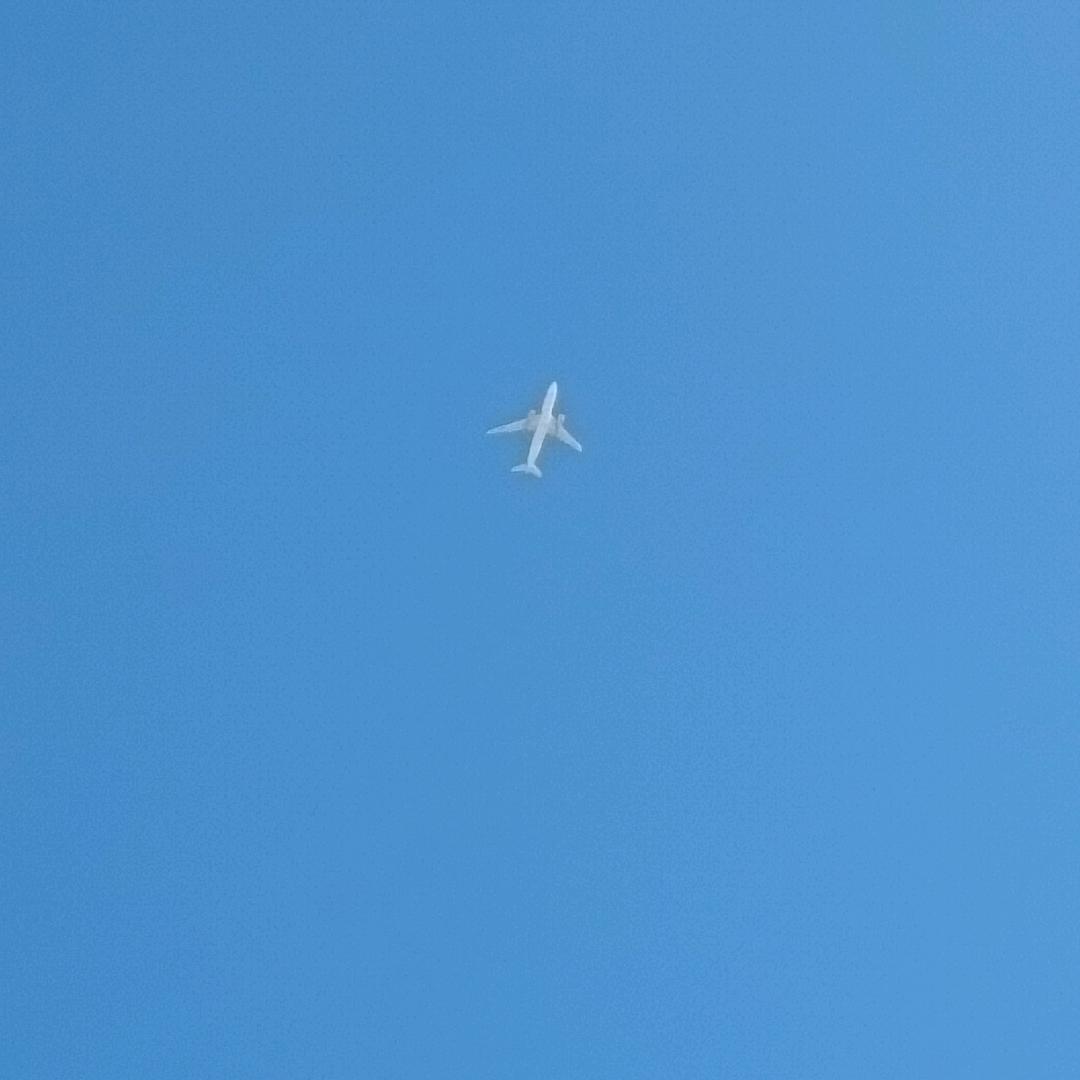 低调