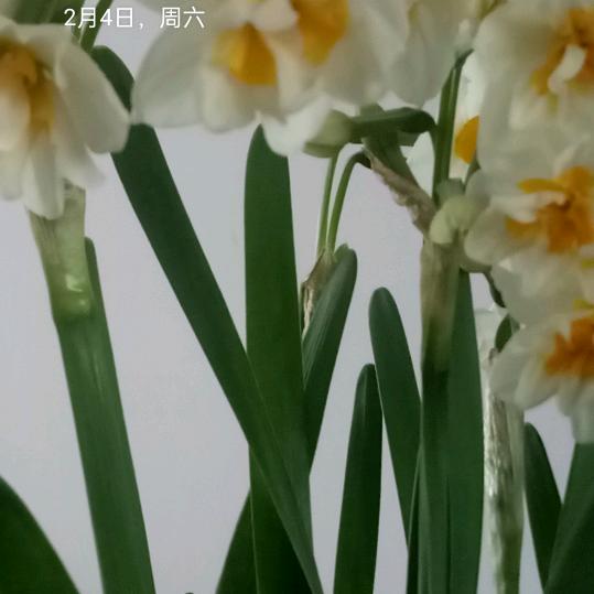 春天的早晨