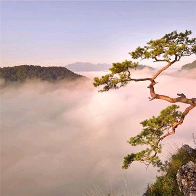 小雅爱生活