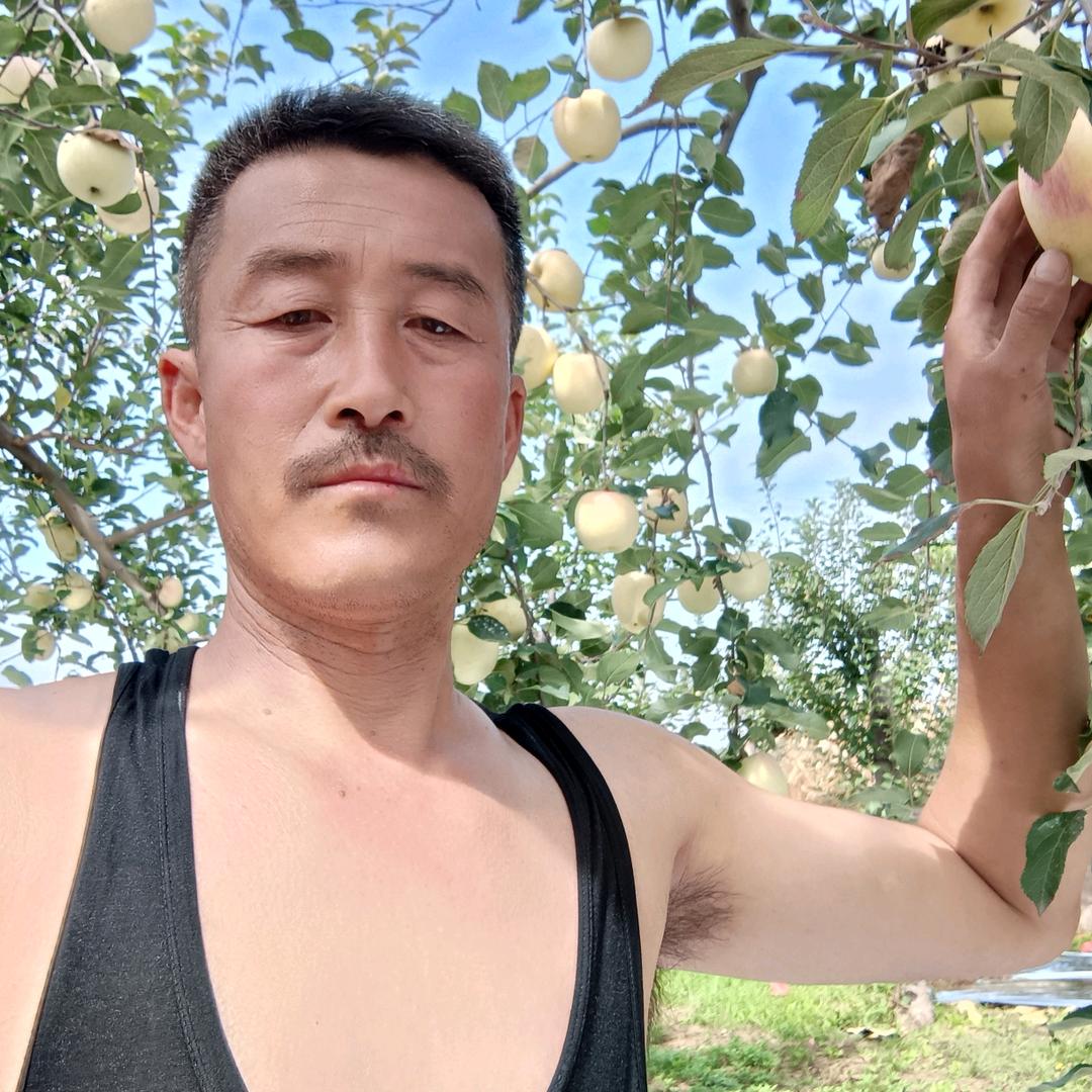 苹果哥