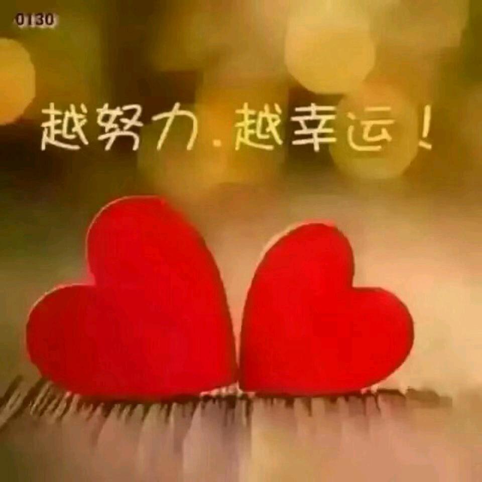 风雨彩虹