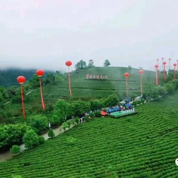 登高而招
