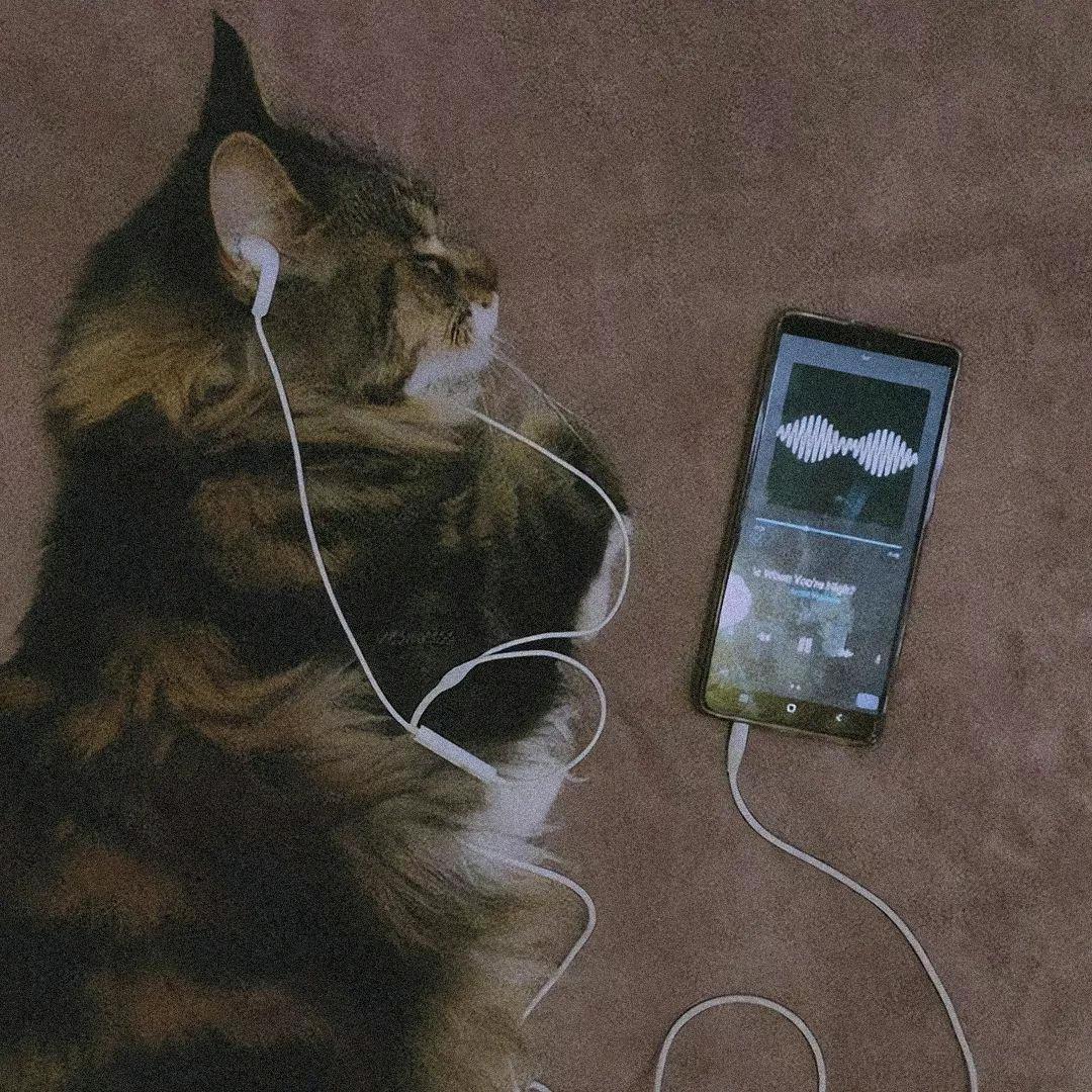 不想