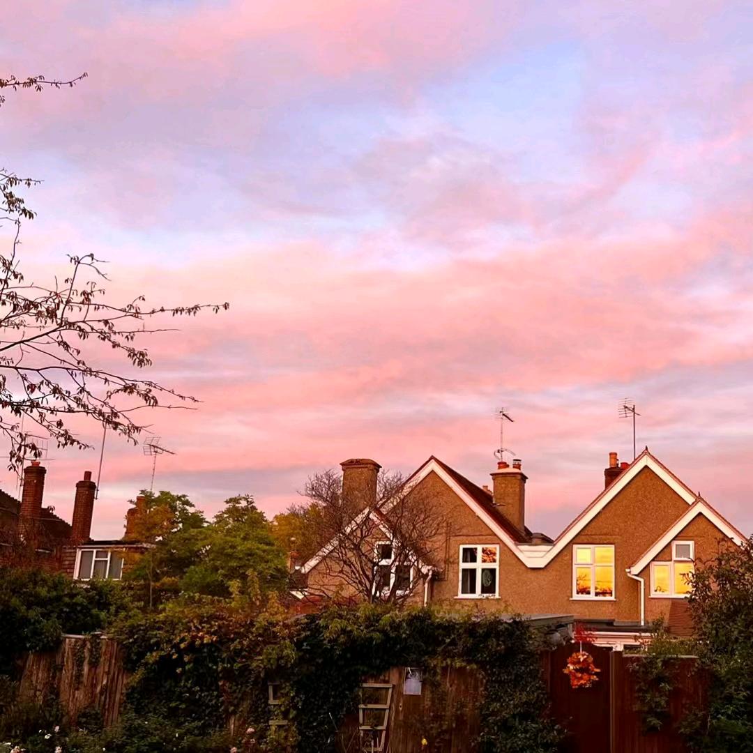 （冠宇云海）瑶瑶领先