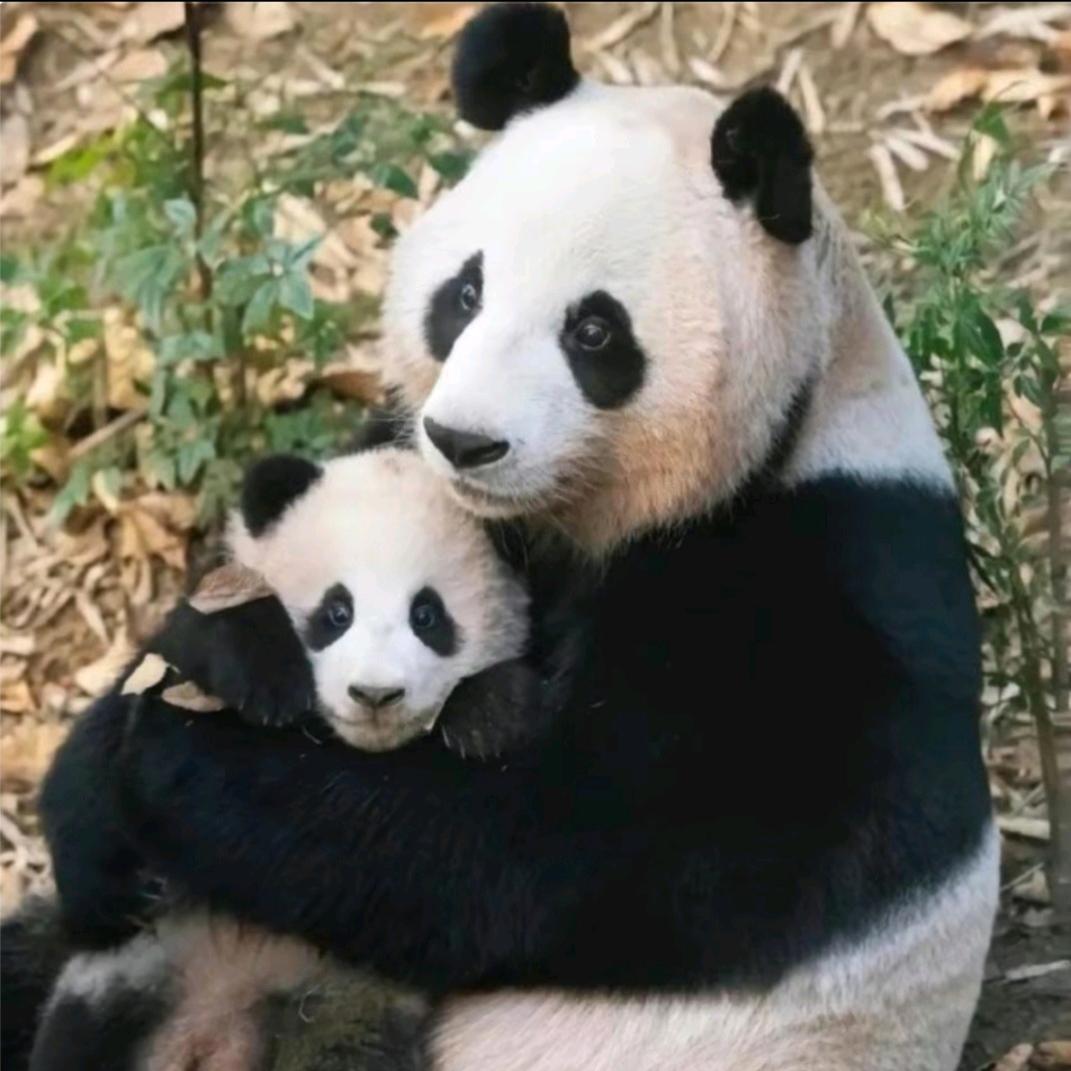 ╪微笑 旳弧度、