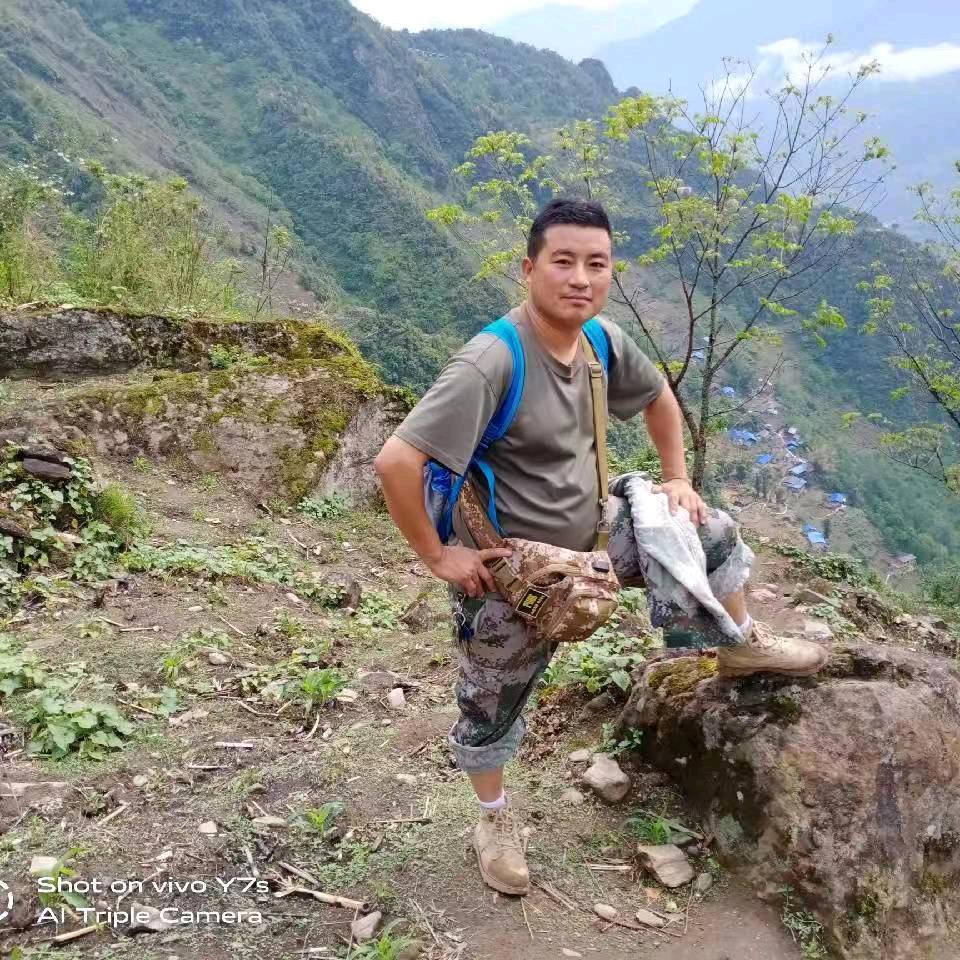鱼在人海