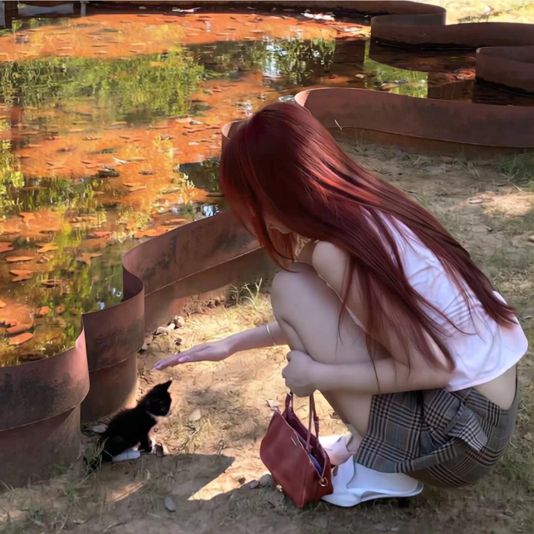 ¹只狸花猫