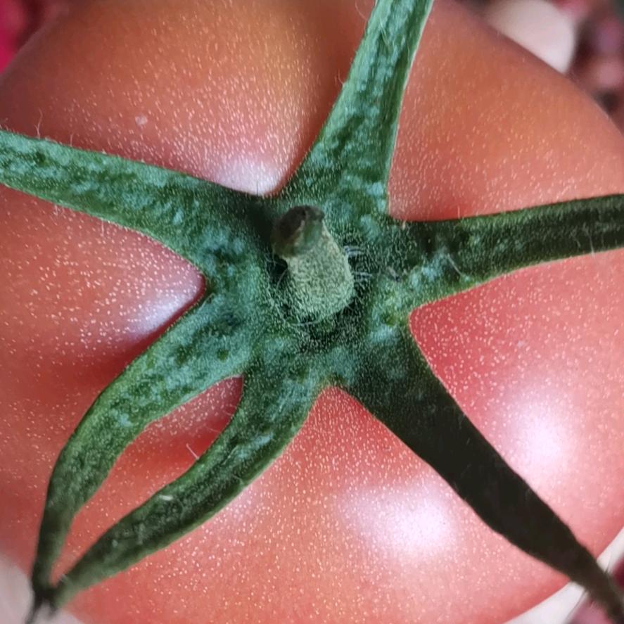 相遇是缘分