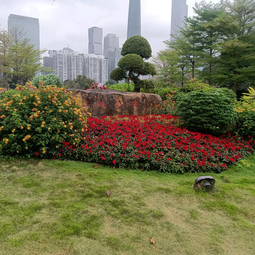 爱的承诺