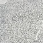 ㇏可廴㇏㇏亦邛