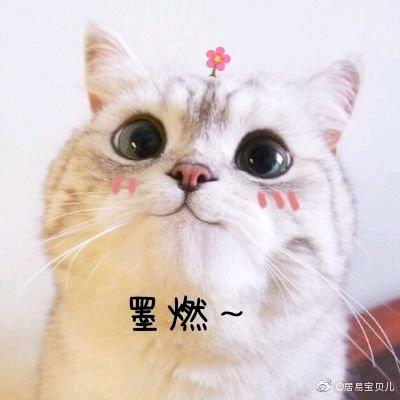 💋宝儿
