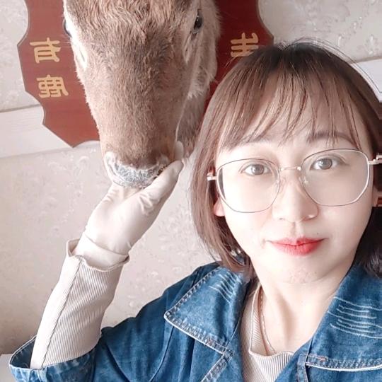 凤羽