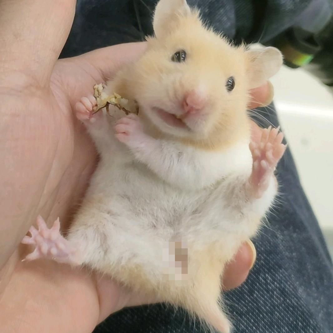 李别想