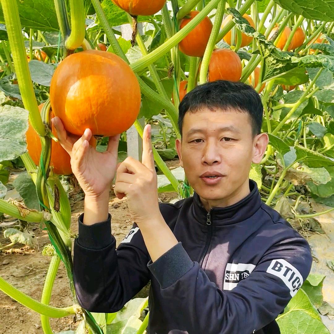 种子种苗（农资）