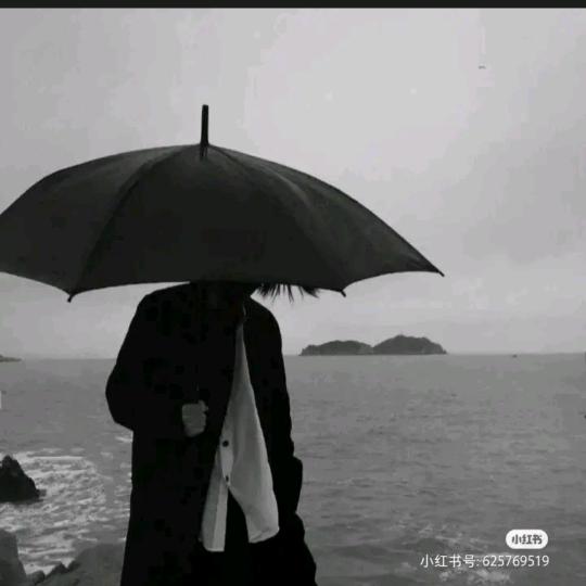 一叶一树一菩提