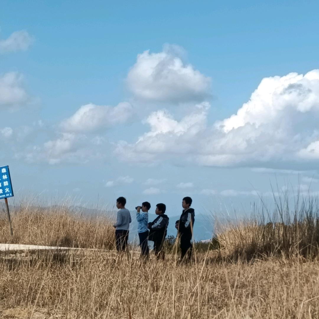梦比糖果甜
