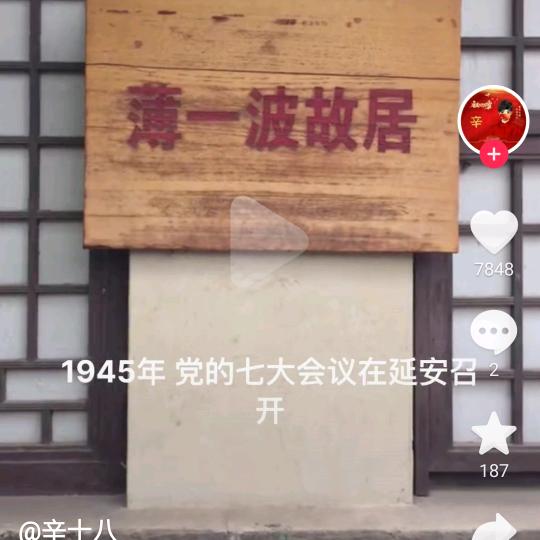 实实宰宰