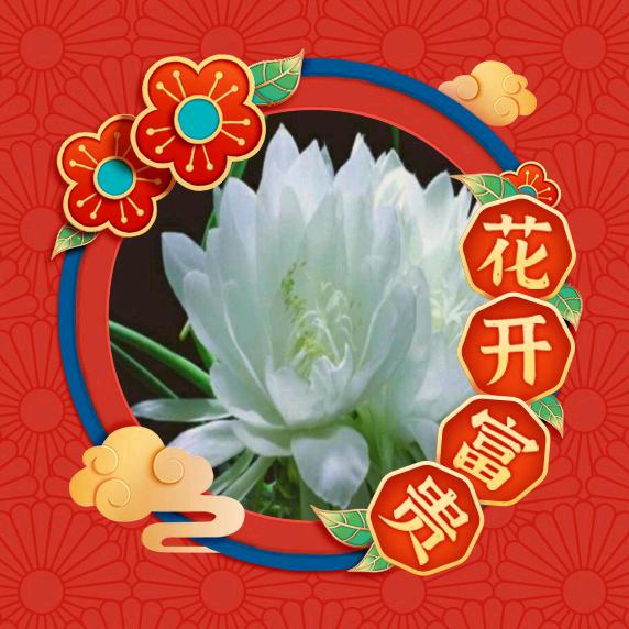 人生自由天天乐
