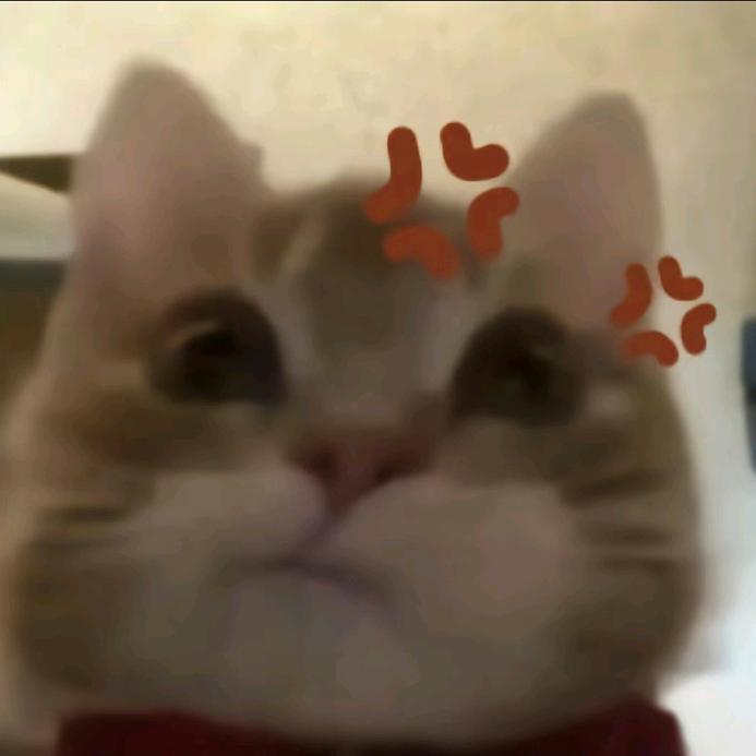 BSY