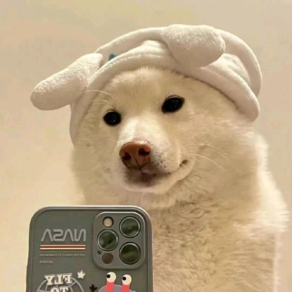 来罐雪碧