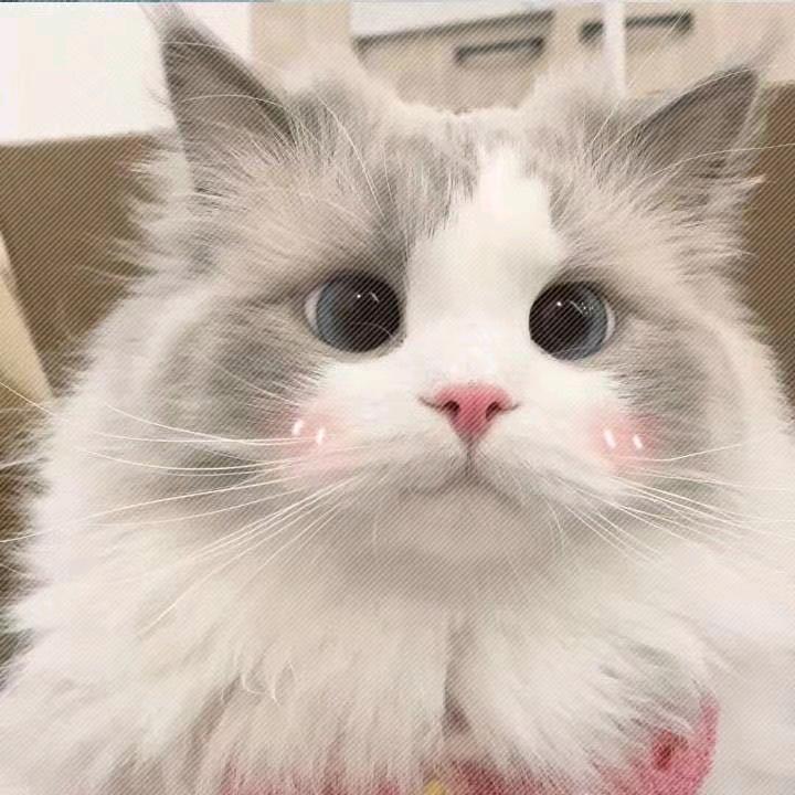 心动邮差