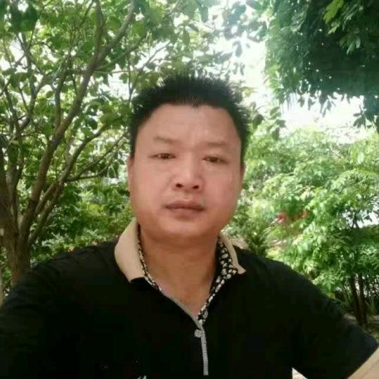 秋海鸿鹏