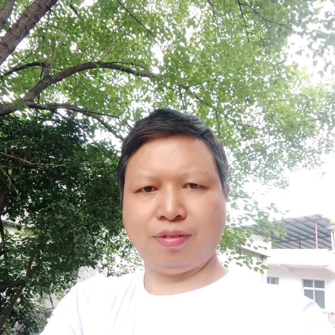 南柯一梦
