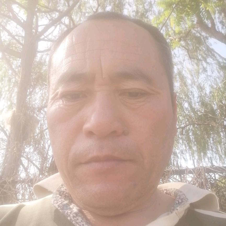 王子庆