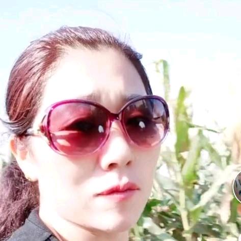 田大姐