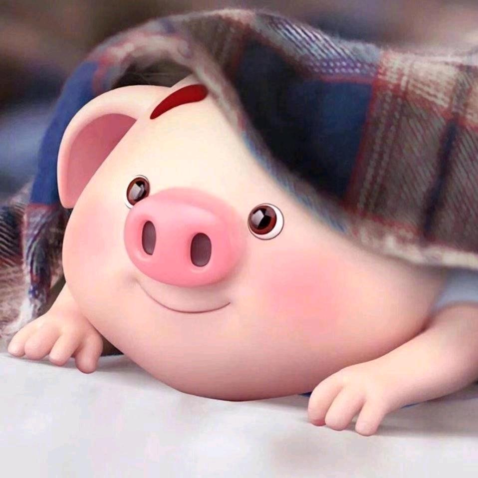 活好当下