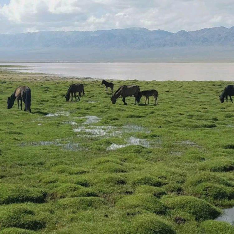 廊坊宏旺木业有限公司