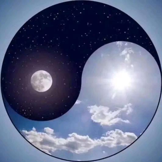 灵枢