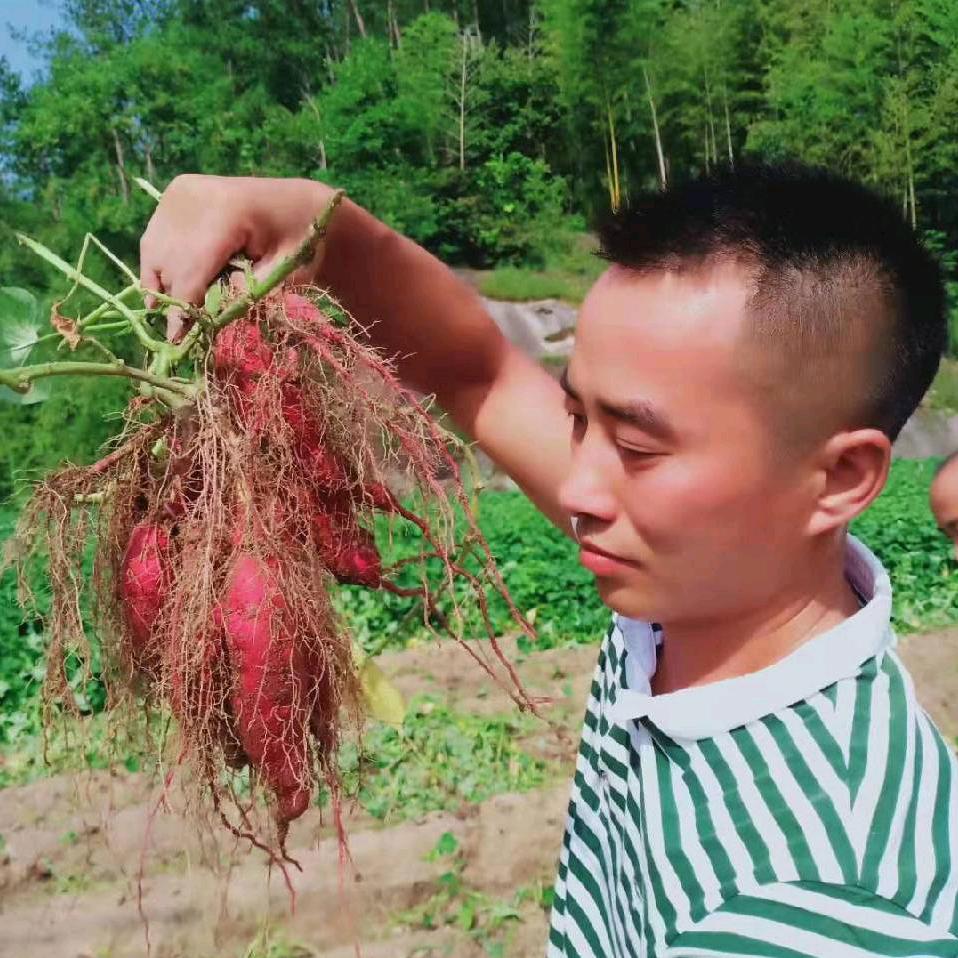 大山哥