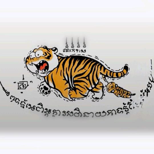 盈江天羽文身店傣