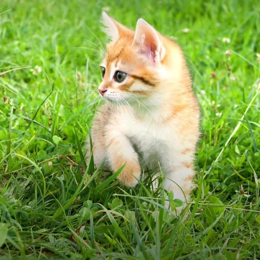 用户3976349837874有缘无份