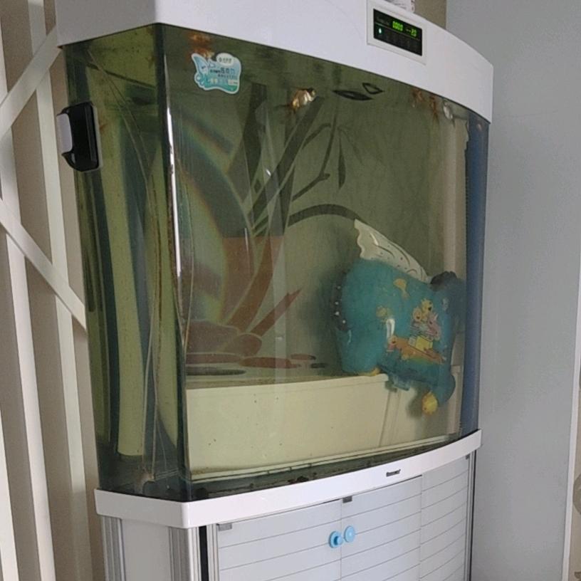 阿锁的农村故事