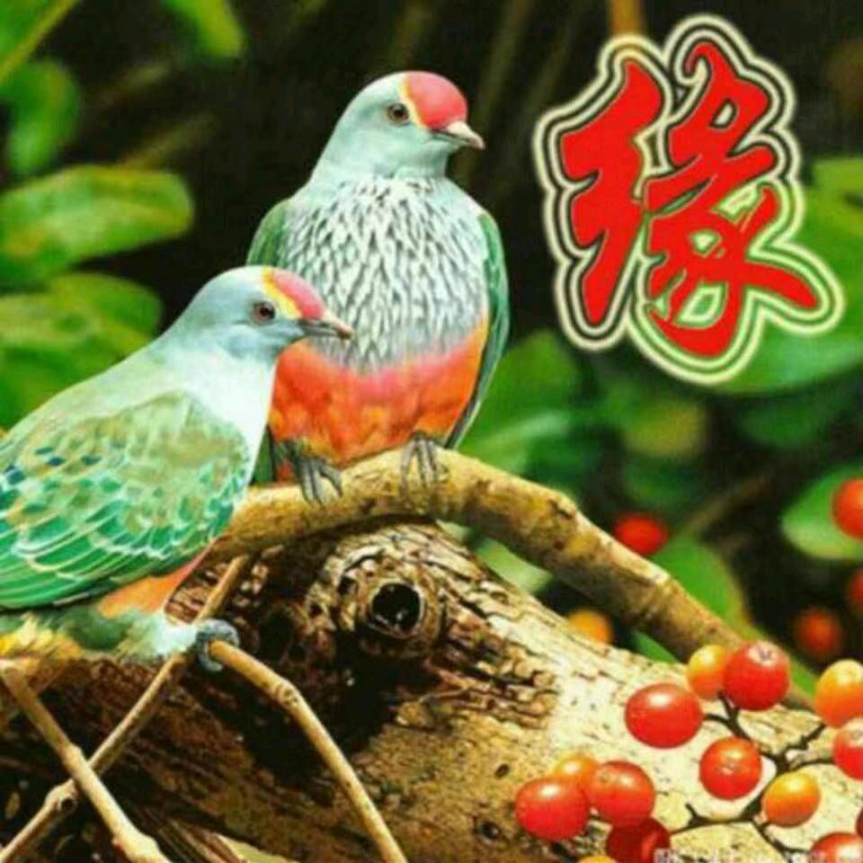 大浪淘沙